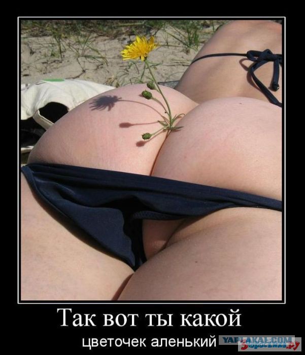 моя гражданская позиция