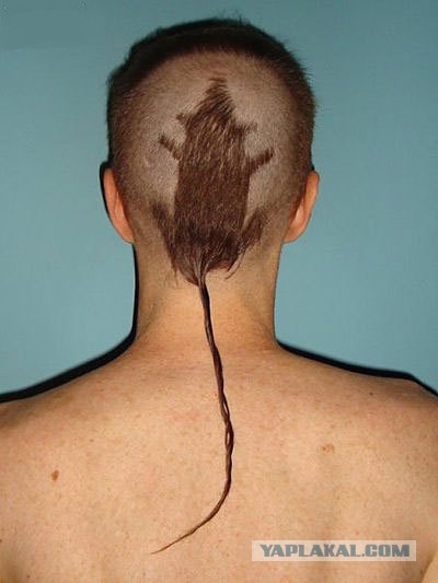 Если бы наши парикмахеры работали в Голливуде