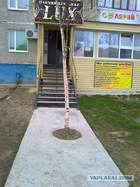 Мой Нижневартовск!