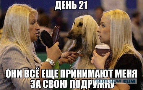 Поднимаем настроение