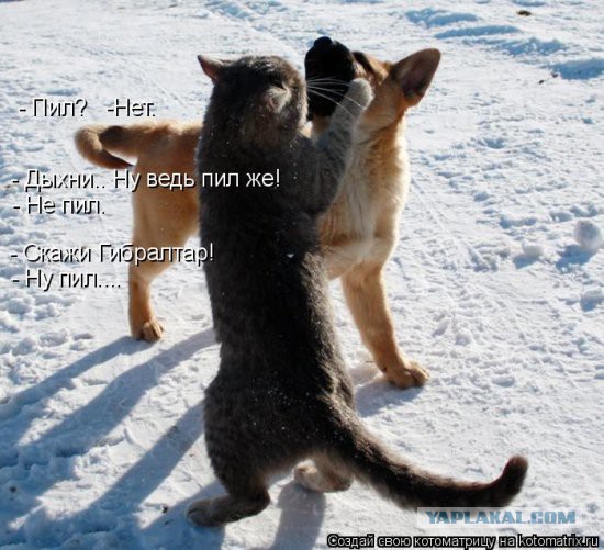 Чёрт, чёрт, чёрт!
