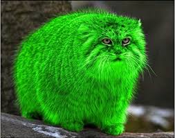 Плюсомет со шпалометом