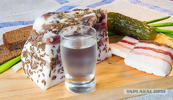 Любимая еда русских