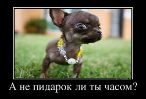 Показалось...