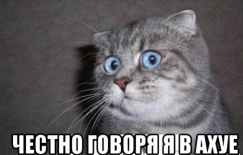 Обнаружил переписку своей жены с другом детства