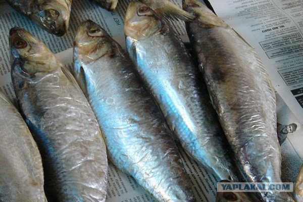 Какие продукты уникальны для Вашего региона?
