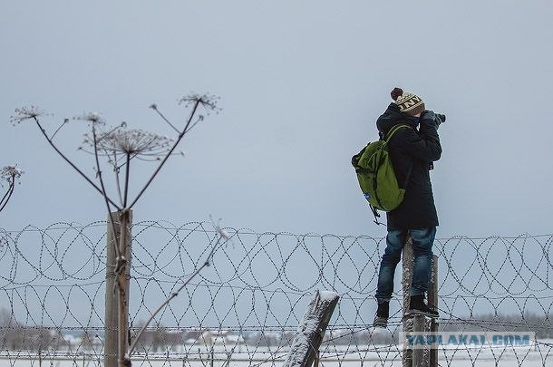 Северный плейнспоттинг