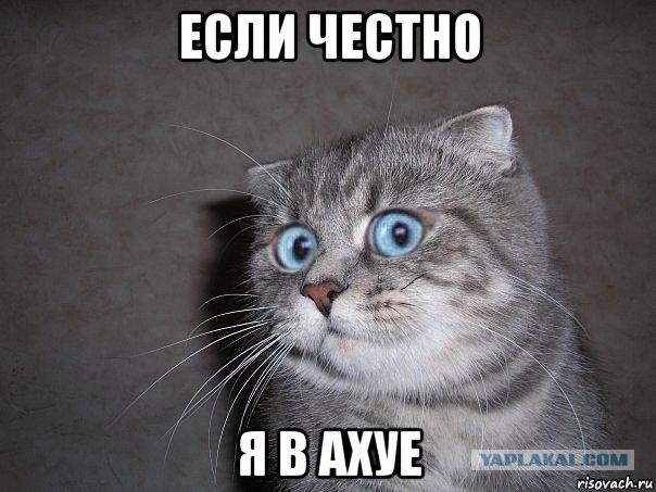 Как правильно мыть пивной бокал