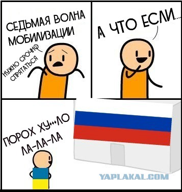 В преддверие 7 волны мобилизации