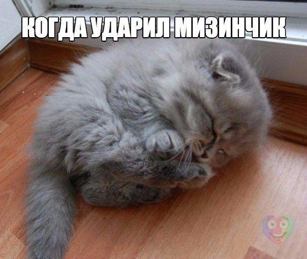Сборник "баянов" со всего Интернета - 2