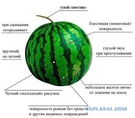 Полезности