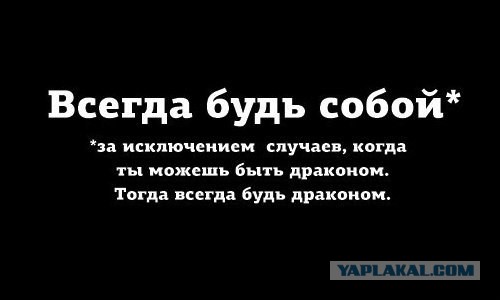 Картинки, текст и даже есть фигня