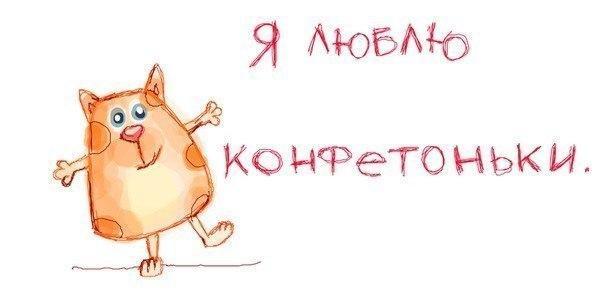 Котовторник 29-09-2015,