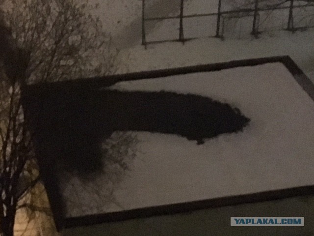 Самый правильный ракурс