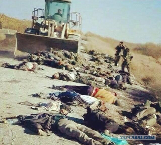 Захарченко: Как только улучшится погода, Украина пойдет в наступление на Донбасс