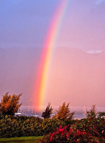 Интересные и веселые картинки