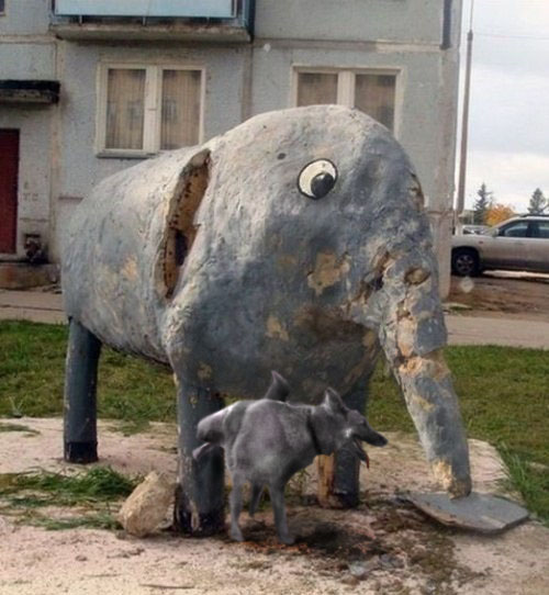 Фотограммы #да ты упоротый штоле? #немншк