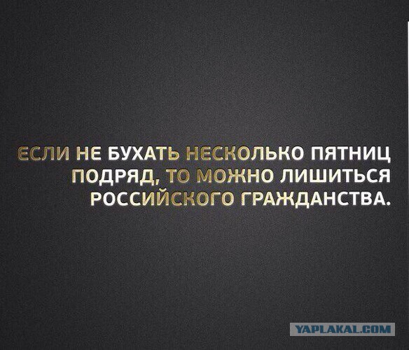 Забавности из интернетов