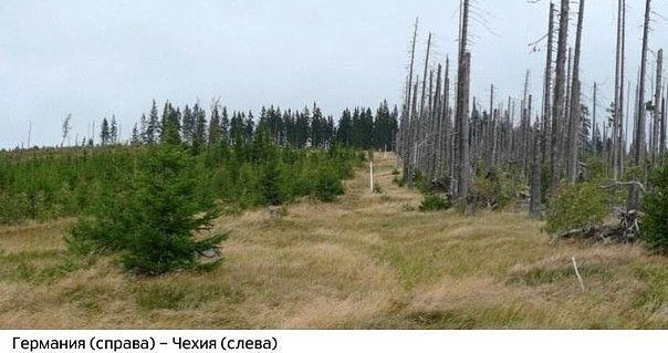 Картинки для отдыха глаз