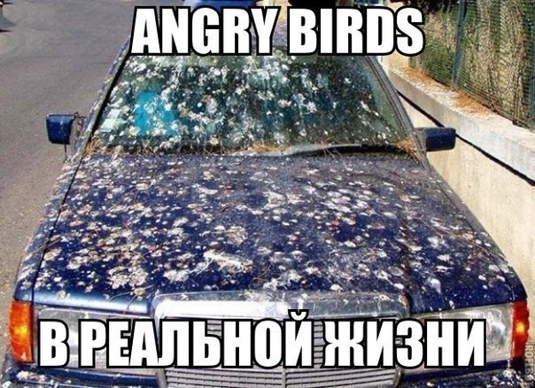 Смешные комментарии 28.08.2016