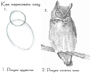 Юмор не для всех