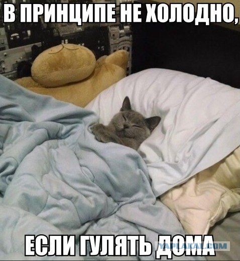 Смешные картинки из сети на 17.10.16