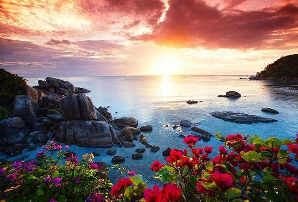 Моменты, запечатлённые на фото и просто позитив 5