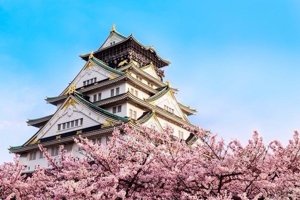 Моменты, запечатлённые на фото и просто позитив 5