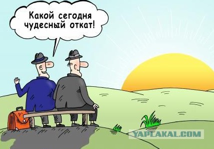 Под депутатом от ЛДПР провалилось кресло в Госдуме