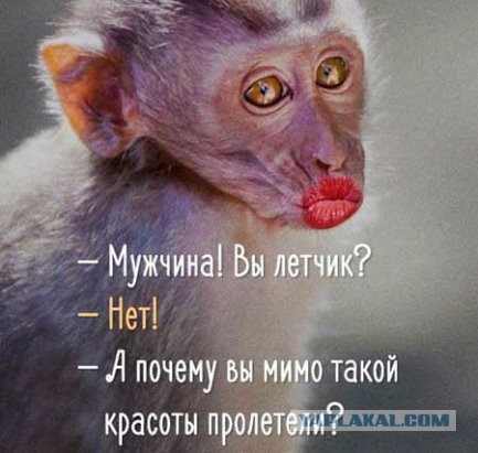 Посадка на авианосец с комментариями