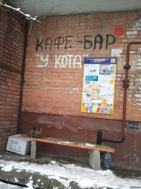 Люди, вы чё, Опять?