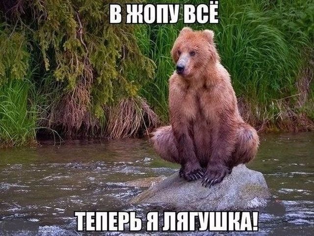 Подборка забавных животных