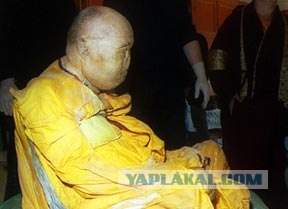 Функционирование тела, сразу после смерти