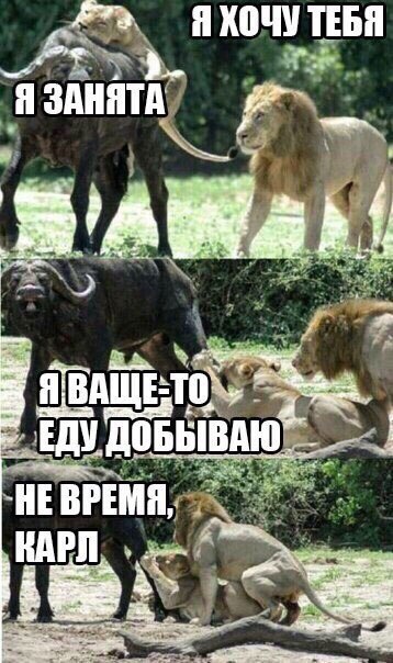 Подборка интересных и веселых картинок