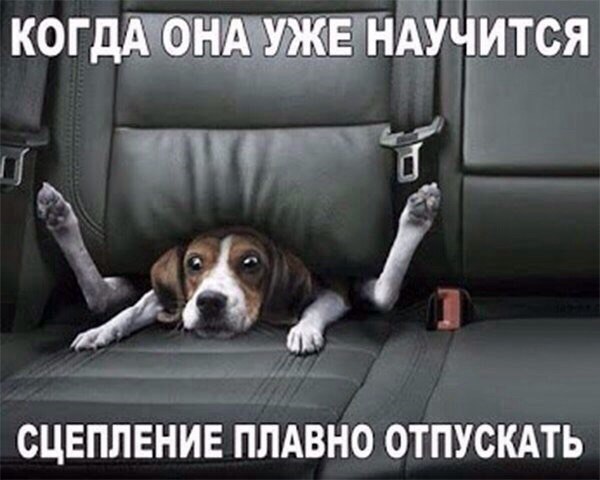 Когда дал покататься