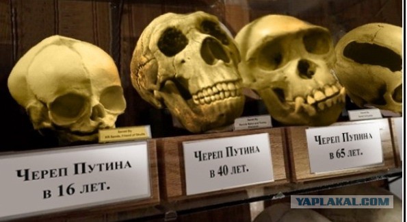 Борец с режимом
