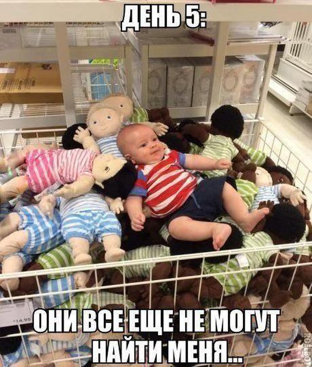Картинки по-приколу