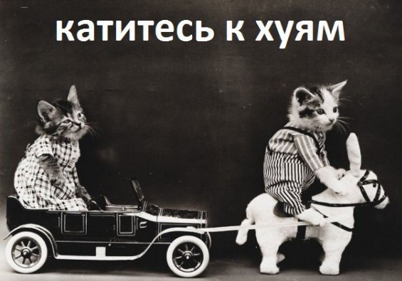 Наводнение в Чите