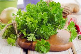 Любовь к животным