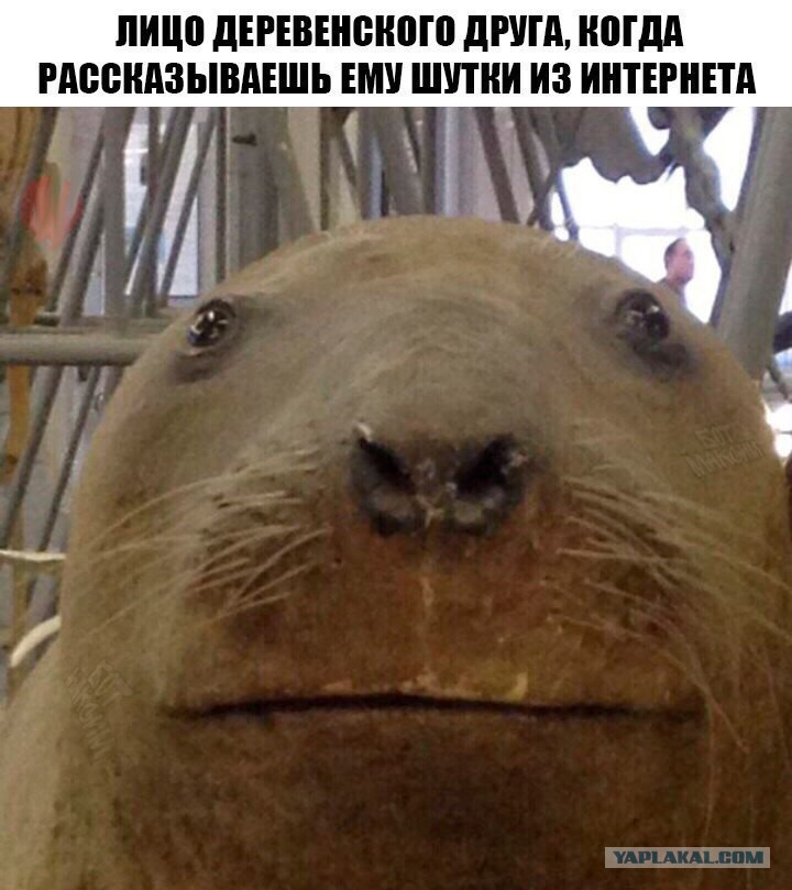 12130529.jpg