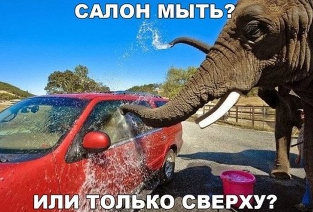 Нестандартный юмор
