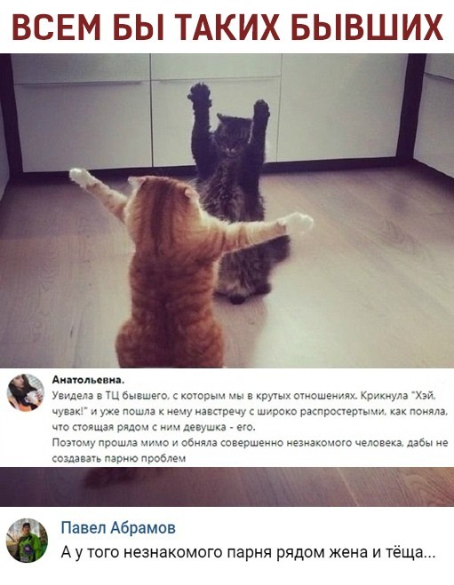 Подборка интересных и веселых картинок
