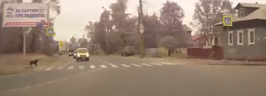 Я не понимаю - нас за дураков держат, что-ли?