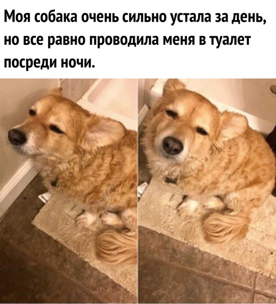 Не очень адекватный юмор