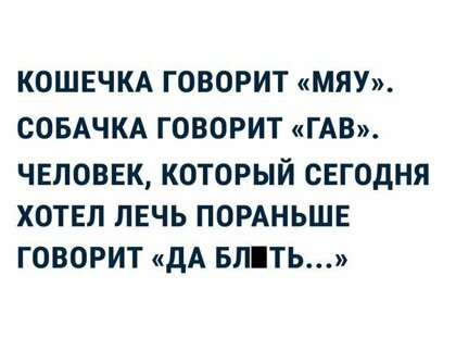 Картинки с надписями, истории и анекдоты