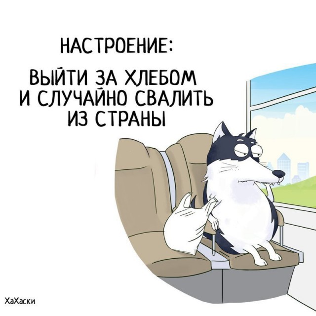 Почему разведённые женщины всю жизнь врут?