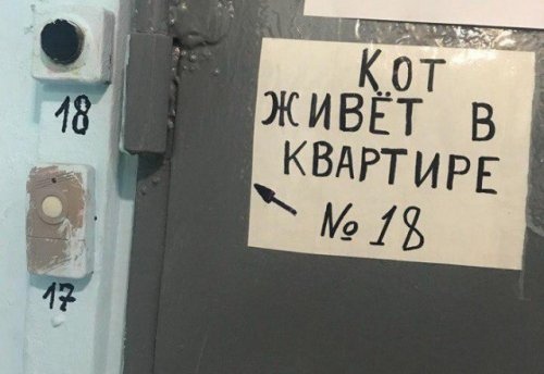Бредзона 10.11.19