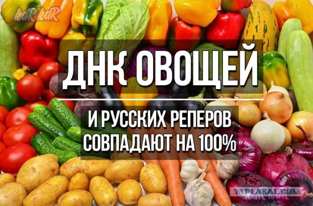 Картинки ниАчем