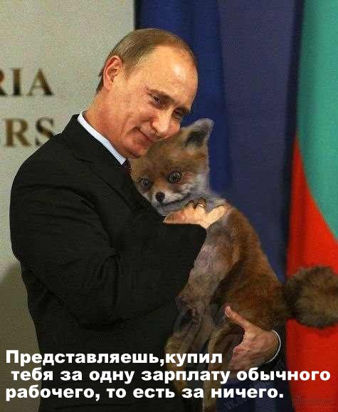 Чучело лисы пустили с молотка