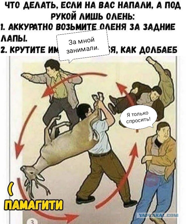 Бредзона 16.03.2020